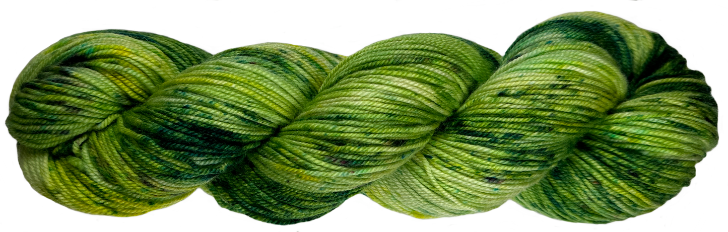 Lichen