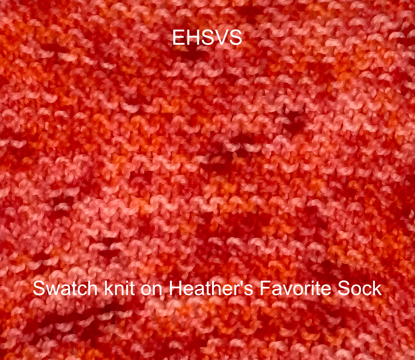 EHSVS