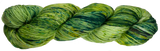 Lichen