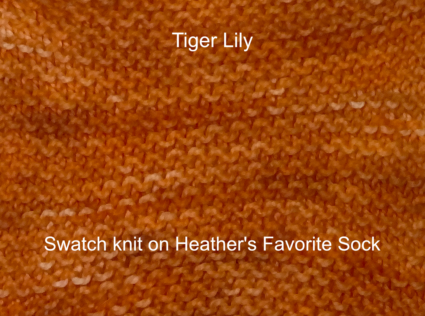 Tiger Lily